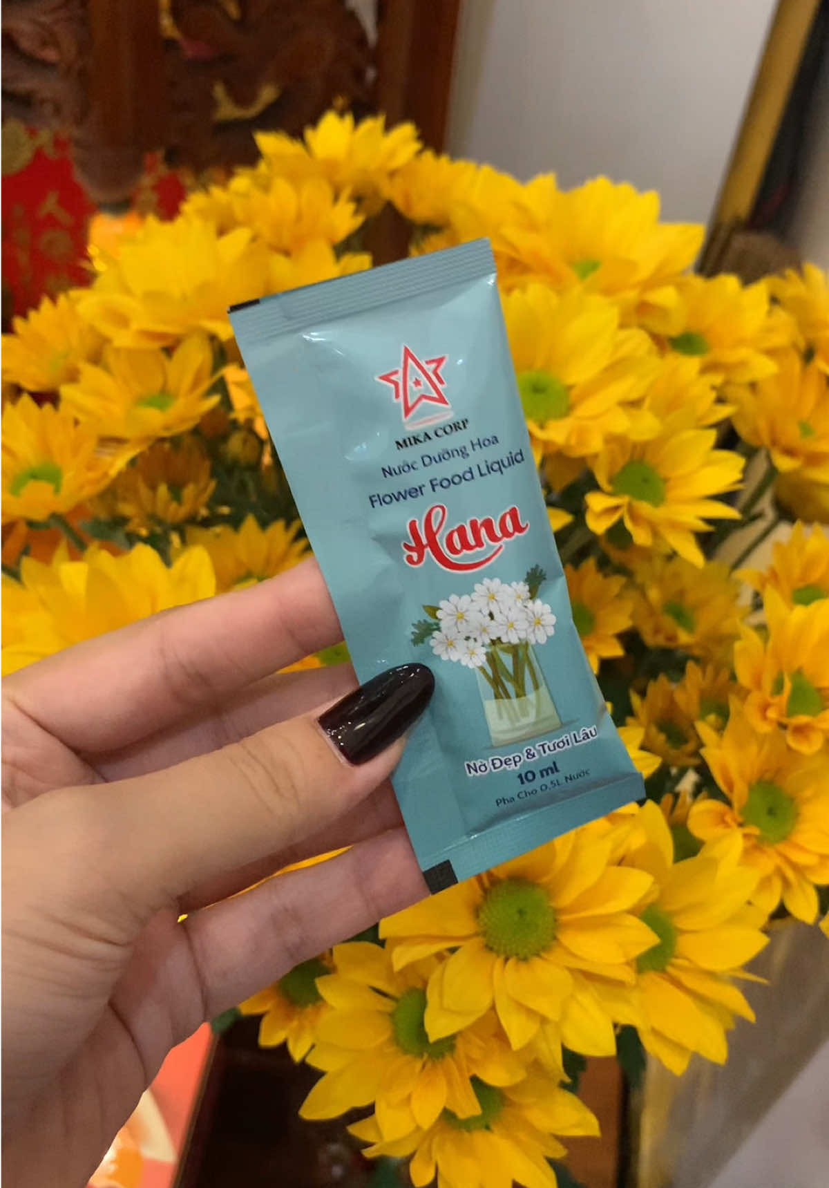 Trả lời @Minh Khuyên bí quyết để có 1 bình hoa tươi lâu được nửa tháng, không cần thay nước mỗi ngày cũng ko lo nước có mùi hôi khó chịu  @Thị Hồng Nhung  @Thị Hồng Nhung  @Thị Hồng Nhung  #nuocduonghoatuoilau #nuocduonghoa #nuocduonghoahana 