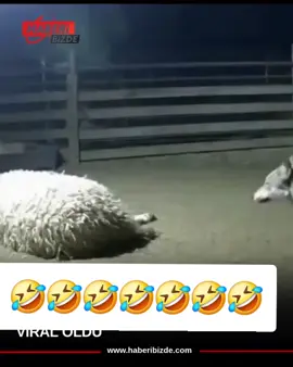 bu terslilde bir iş var 🤣🤣🤣