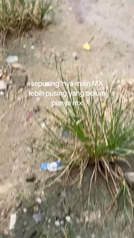kapan nih login mx?#mxking150 #yz15r_malaysia #mxsoloraya #komorodstyle 