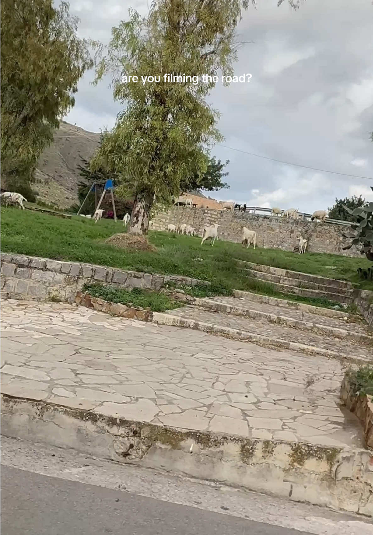 steph curry spotting in sicily #goat #sicily #stephcurry #humor 