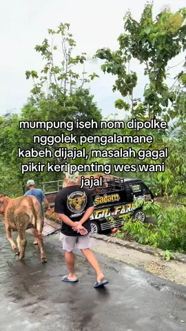 👋#peternakmuda #fyp #sapi #putrasadam 