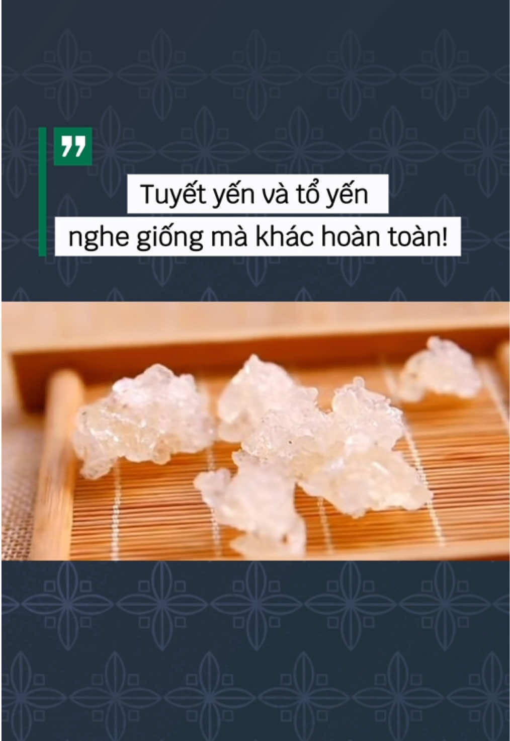 Tuyết yến và tổ yến — nghe giống mà khác hoàn toàn! #YenSaoVietNam #TuHaoHangViet #HangVietVuonMinh #AkaNest #ToYen 