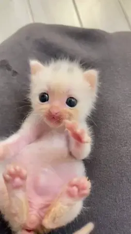 Such a cute little baby.