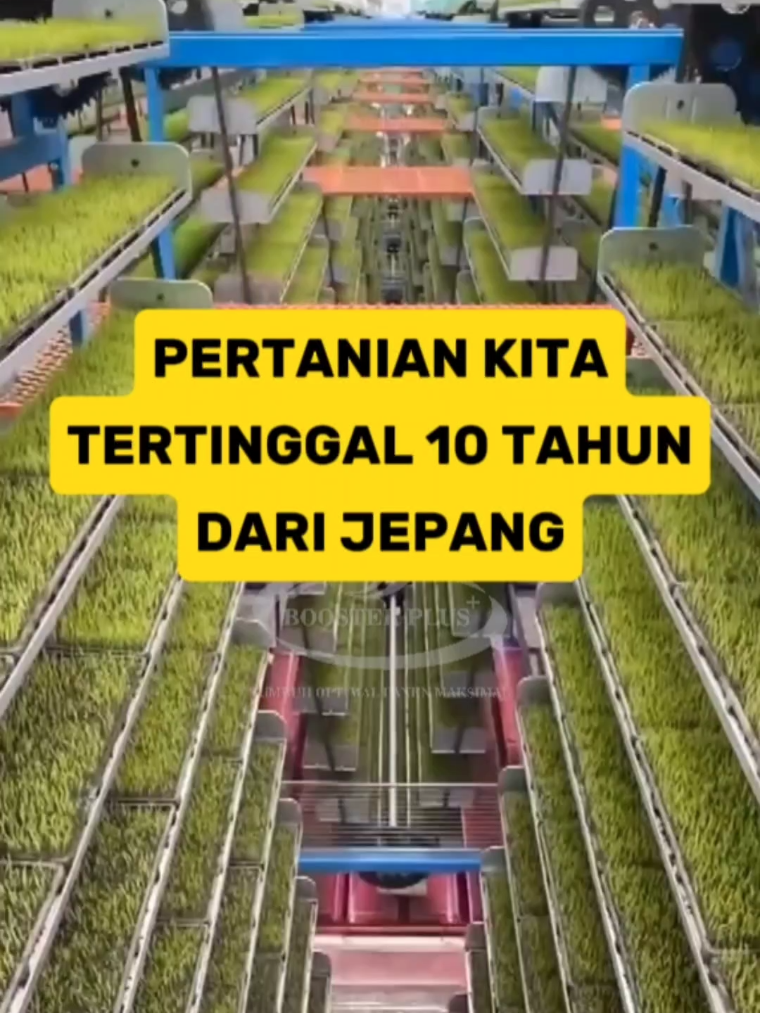 Inilah bukti bahwa pertanian jepang sudah sangat maju mendahului kita, Bagaimana bisa? #boosterplus #pertanian #pupuk #petanimilenial #petanipadi #petanimuda #pertanianjepang