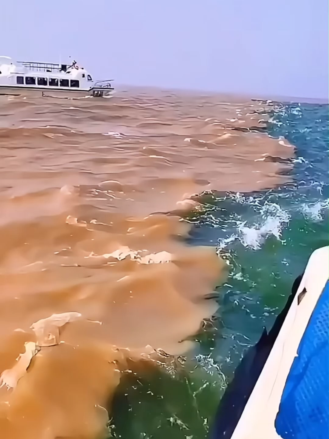 Voici ce qui se passe quand deux océans se rencontrent. 🌊🌊 #ocean #nature #foryou #mer #vague #fyp