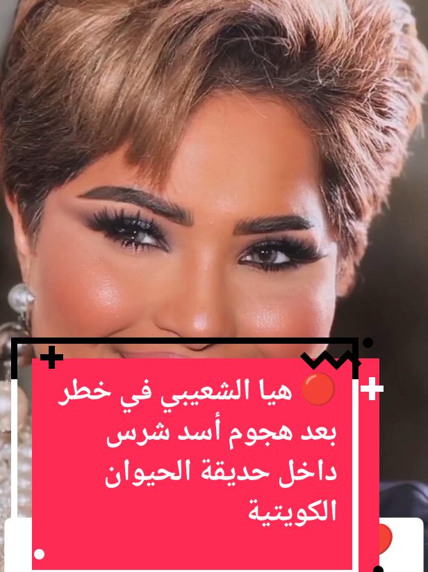 🔴 هيا الشعيبي في خطر بعد هجوم أسد شرس داخل حديقة الحيوان الكويتية #الكويت #الكويت🇰🇼 #الكويت_مصر_السعودية_سوريا_الامارت #تيك_توك #كويت 