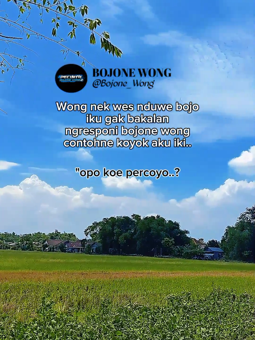 aku dewe yo g percoyo🤭🤪🤪#pecintabojonewong #masukberanda #bojonewong #storyjowo #fyp 
