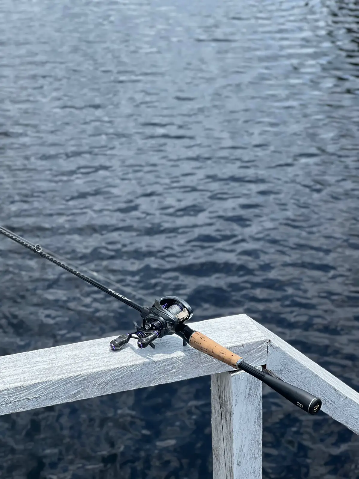 #castingfishing🎣 #WayCast 
