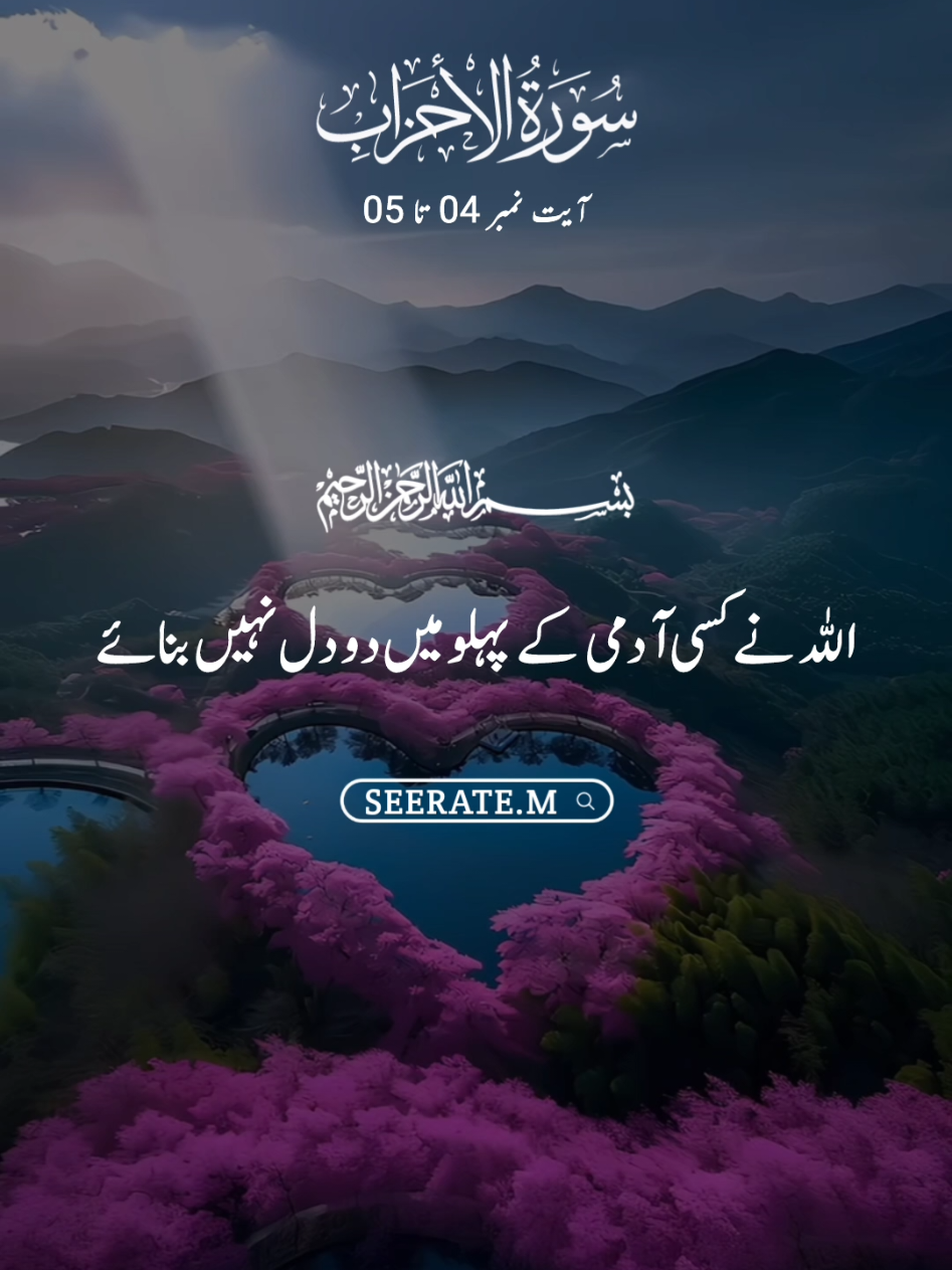 Quran kareem with translation 😍  surat ul ahzab ayat no 04 to 05 #quran #hadees #islam #seerate_m #viral 