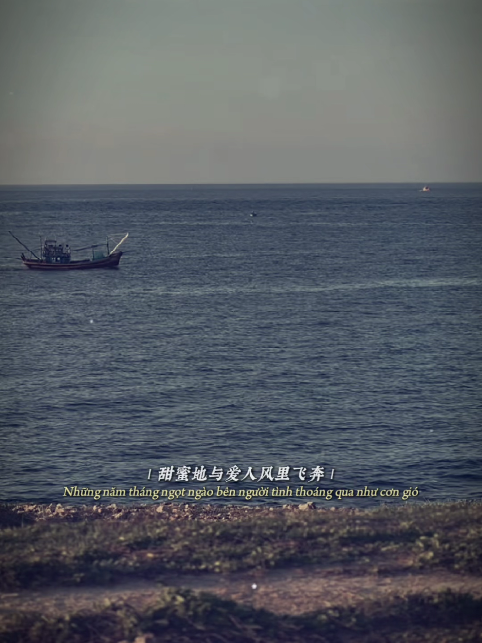 难得有情人 / Khó Có Được Người Tình #nhachaymoingay #chinesesong #nhactrung #nhachoa #tamtrang #fyp #xuhuong #hoanguvibes 