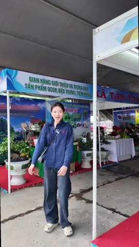 Xưởng sản xuất sỉ lẻ chuỗi Mai Vàng, nhang Mai Vàng độc quyền thương hiệu Mai Tâm Trang có mặt tại triễn lãm hàng công nghiệp nông thôn phía Nam 2025 #chuoicaymaivang #vongtaymaivang #maitamtrang #xuhuongtiktok #viral 