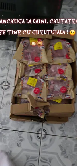 Strangeti banii la ciorapi, vin Cateii la primavara, sa nu ziceti ca nu v-am zis ! 🤣💪❤️🐶🤦‍♂️