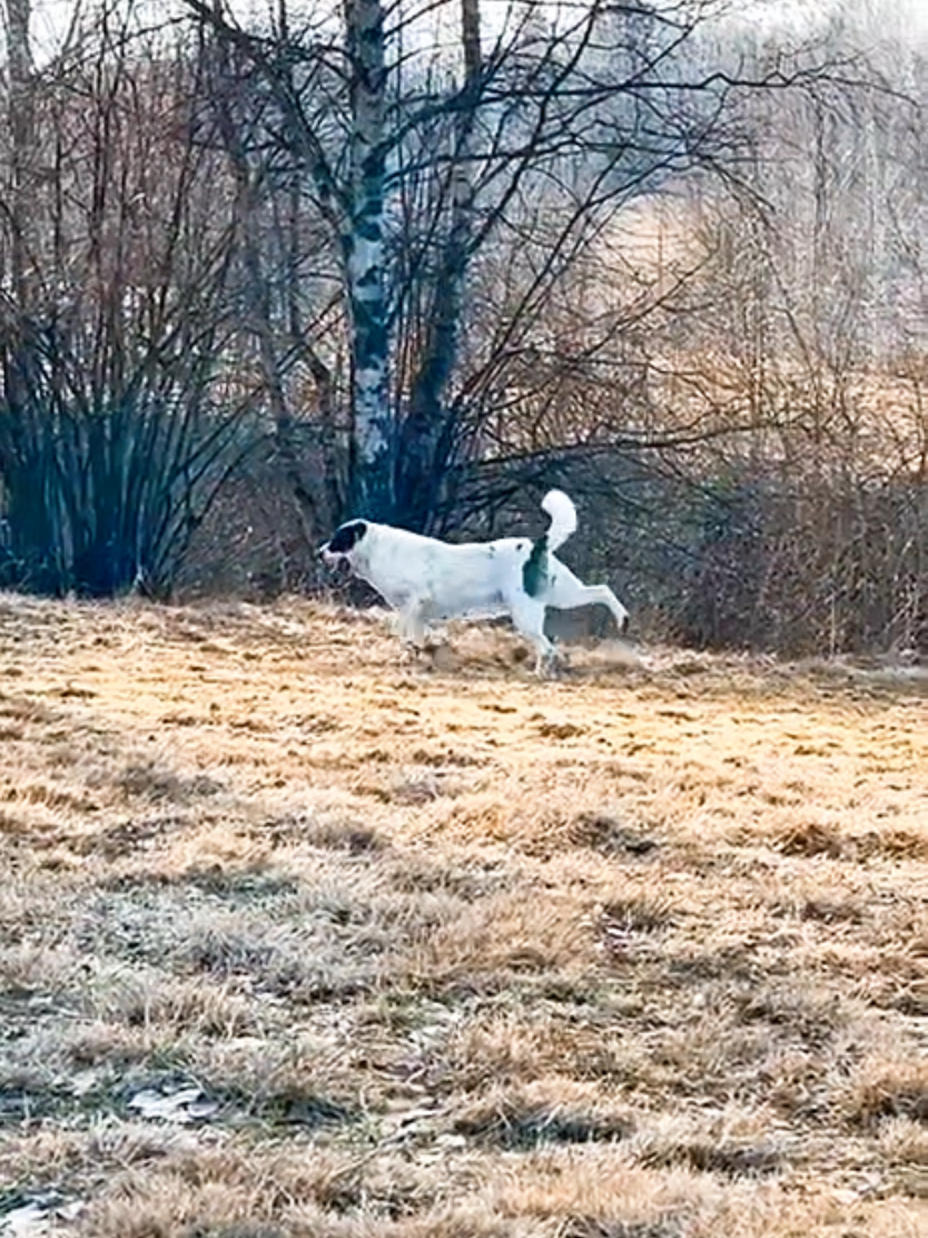 Vika 😞🐼❤️ 