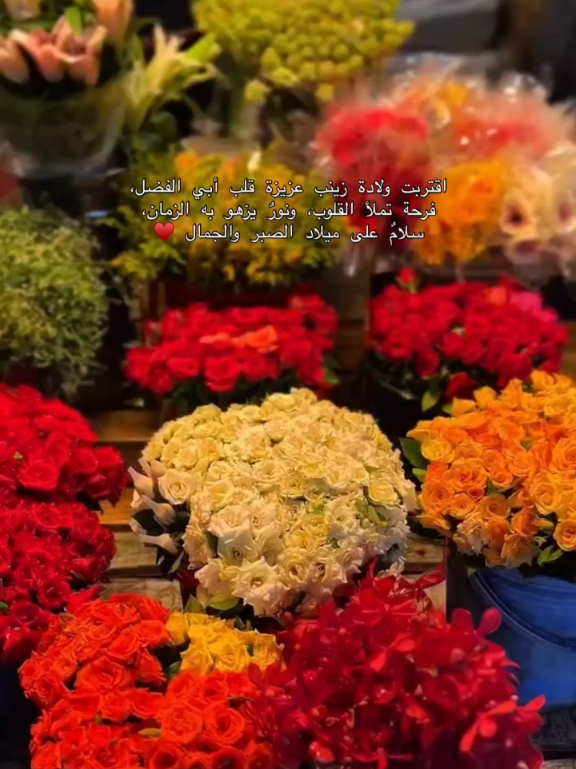 هي بنتُ عليٍّ وفاطمة،  وصوتُ الحسين بعد كربلاء، علّمت العالم معنى الصبر والعزّة. سلامٌ على الحوراء يوم وُلدت #explore #فولو #اكسبلور #السيدةزينب_الحوراء_عليهاالسلام  #اللهم_صل_على_محمد_وآل_محمد 
