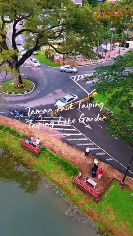 BEAUTIFUL EVENING AT  TAMAN TASIK TAIPING TAIPING LAKE GARDEN #fyppppppppppppppppppppppp  #dji5minipro #taiping #lakegarden #visitmalaysia 
