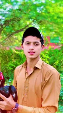 Ma murgy larana passnd nai karta jast video #unfrezzmyaccount #creatorsearchinsights @TiktokPakistanOfficial 