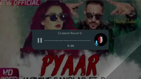 PYAR WALA PANCHII AY ❤️🙂 FULL SONG USE HEADPHONE 🎧 [Slowed+Reverb]#foryou #newacount #dontunderreviewmyvideo #slowedandreverb #slowedandreverb 