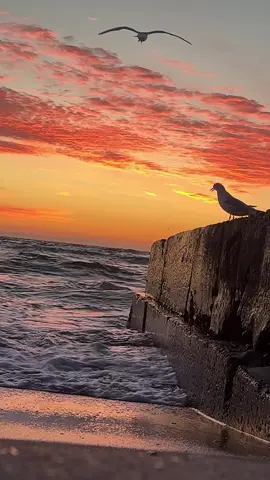 #reels #viraltiktok #sunrise #recommendations #хочуврек 