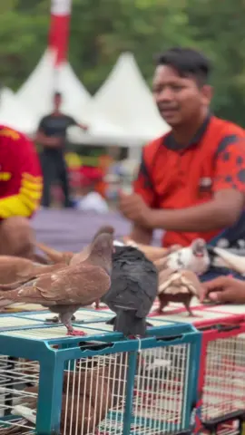 baru keluar goa #fyp #merpatikolongbebas #CapCut #xyzabc 