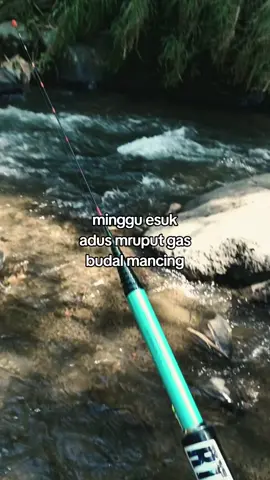 gas mabar woo#mancingmania #microfishing #umpanmasher #spotmancingpakribut #fyppppppppppppppppppppppp 