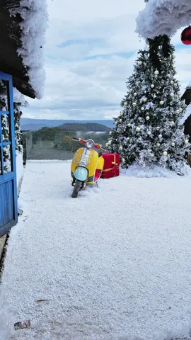 Địa điểm thị trấn tuyết tại Đà Lạt đã trang trí xong rồi nha các bạn chuẩn bị đồ lên check in nào 😍😍 📍 Thị Trấn Tuyết ( 3Bis - Đống Đa - Đà Lạt ) #dalatreviewtravel #latnoitravel #thitrantuyet 