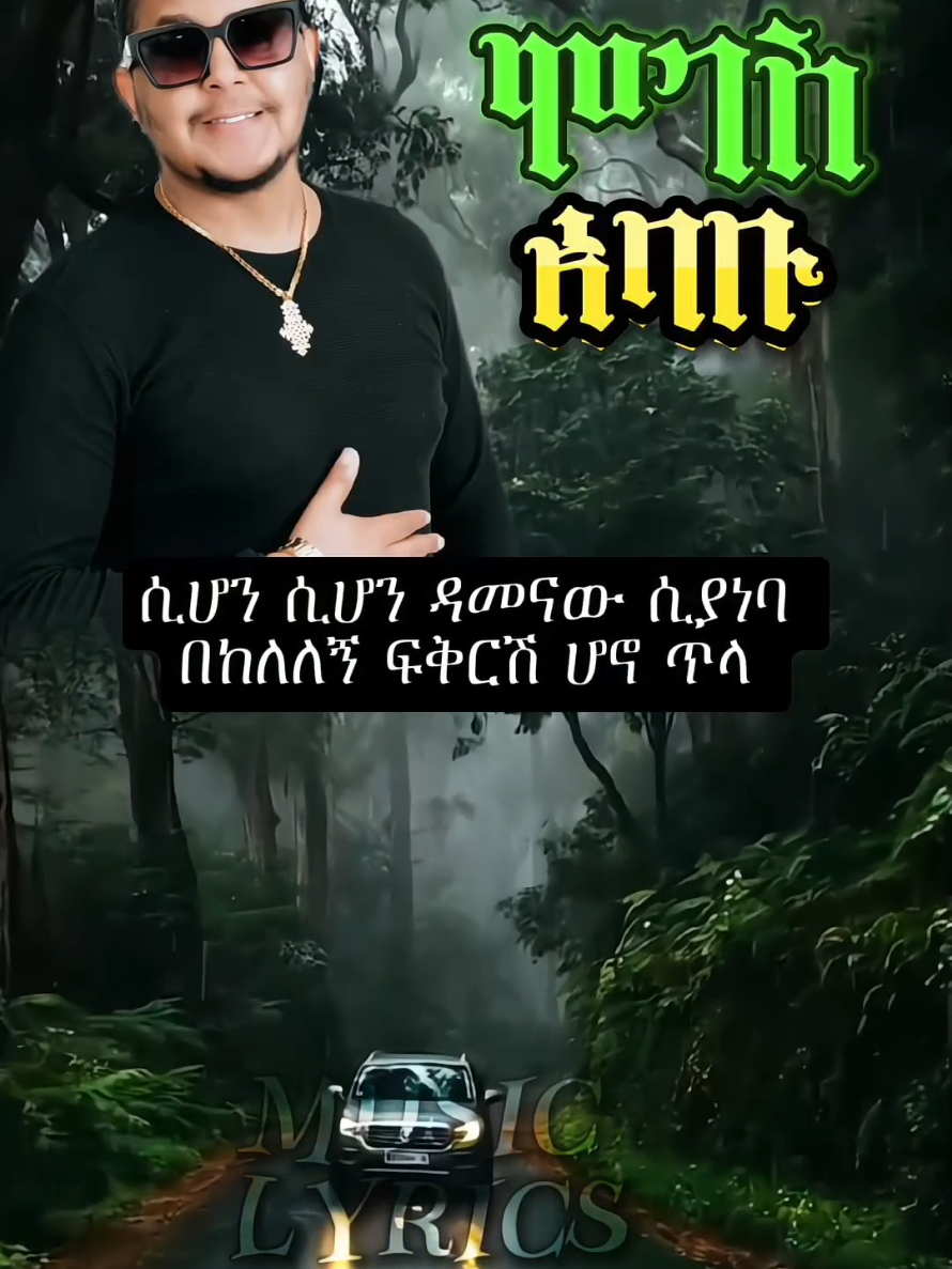 ሙሉ ዘፈን ዩቱብ ላይ ተለቋል እየገባችሁ እዩት #mogesababu  music lyrics🎧@Fekir Romii @🦋seadi☕✍️