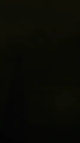 Kho báu 💕 #flyboardmuine #MuiNe #flyboardvietnam #flyboard #pineapple 