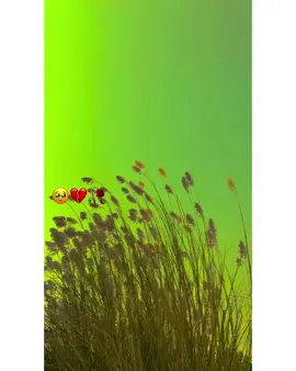 #faryoumypagefaryoumilon #faryoumypagefaryoumilon #faryoumypagefaryoumilon #faryoumypagefaryoumilon #faryoumypagefaryoumilon #faryoumypagefaryoumilon #faryoumypagefaryoumilon 