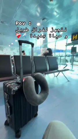 #الغربة #sweet #catsoftiktok #france🇫🇷 #algeria 