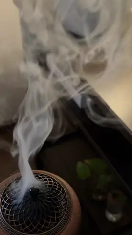 ❣️مسااء الخير بصدر رحب❣️ #اكسبلور #Vlog #لايكاتتت #fyppppppppppppppppppppppp #explore 