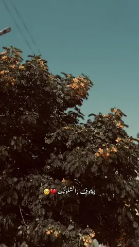 #تصويري📷 #اغاني #تصميم_فيديوهات🎶🎤🎬 