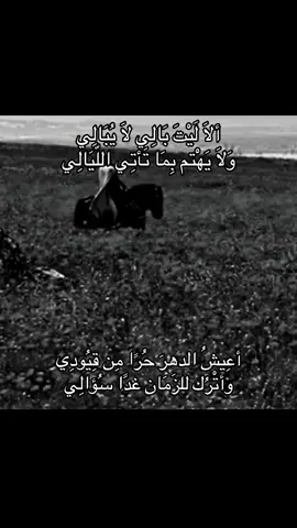 وأتْرُك للزَمَان غدًا سُؤالِي .  #فيلسوف_من_العيار_الثقيل #فلسفه #fyp #foryou #explore 