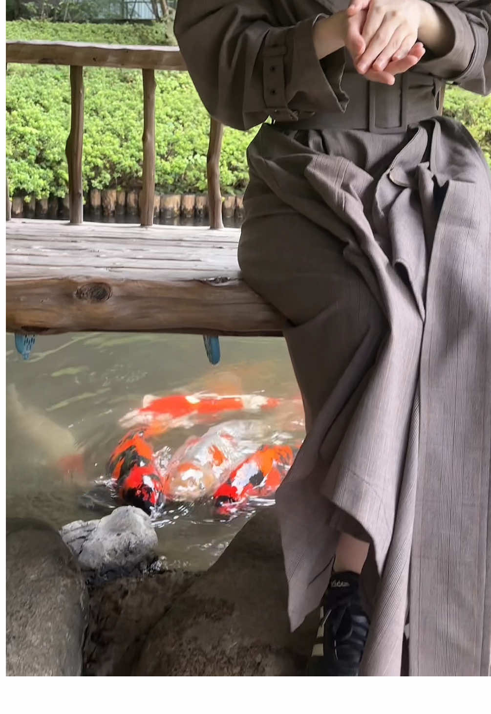 鯉の池の上に浮かぶベンチ( ◜ᴗ◝ ) #japan #japanesegirl #일본 #japantravel #fyp 