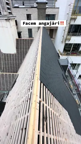 #fyp #views #viralvideos #for #lucrulainaltime 