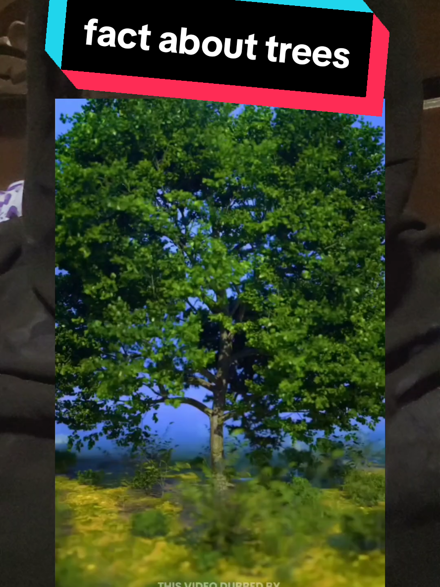 #facts  #treefacts 