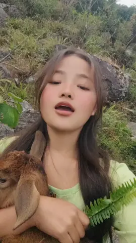 🤭#trending #viralvideo🔥 #foryou #fyp #goviral 🙏🙏🥀🌷 🫶🌱😄😜❣️@peja🧿💎अविरल सहयात्री 