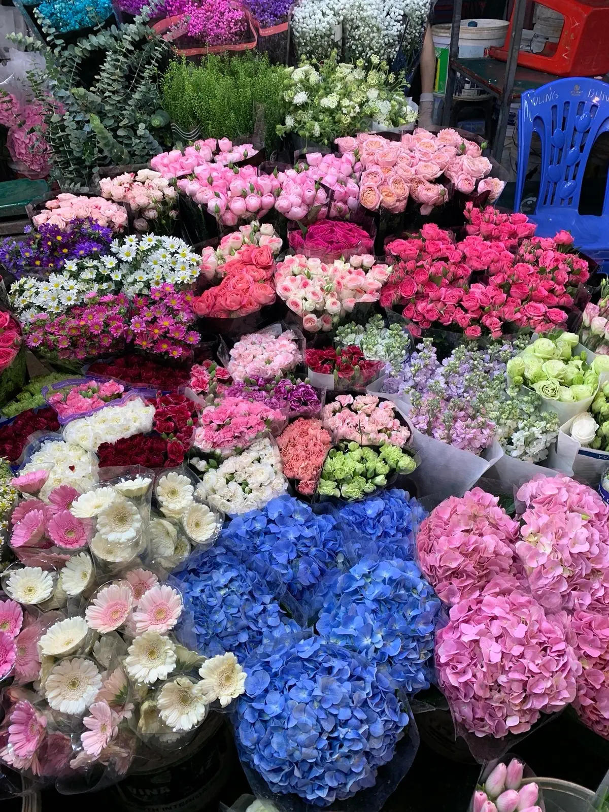 #viral #fyp #xuhuong #chohoaquangba 