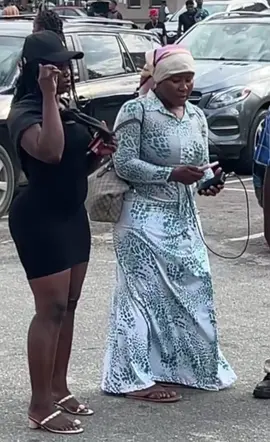 The literally gave me ponyan 