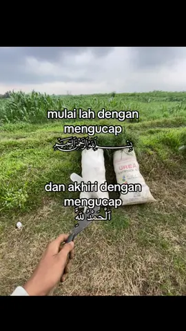 #peternakmuda #suketbalap🌾 #sobatngaret #juragankambing🐐 #salamsakbabatansreksreksrek 