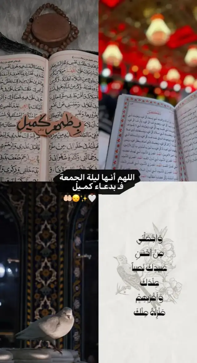 #دعاء_كميل #ليلة_الجمعة_المباركة #يارب❤️  #اللهم_صل_على_محمد_وآل_محمد  #اللهم_صلي_على_نبينا_محمد 🤲🏻🤲🏻😞😞🤍🤍