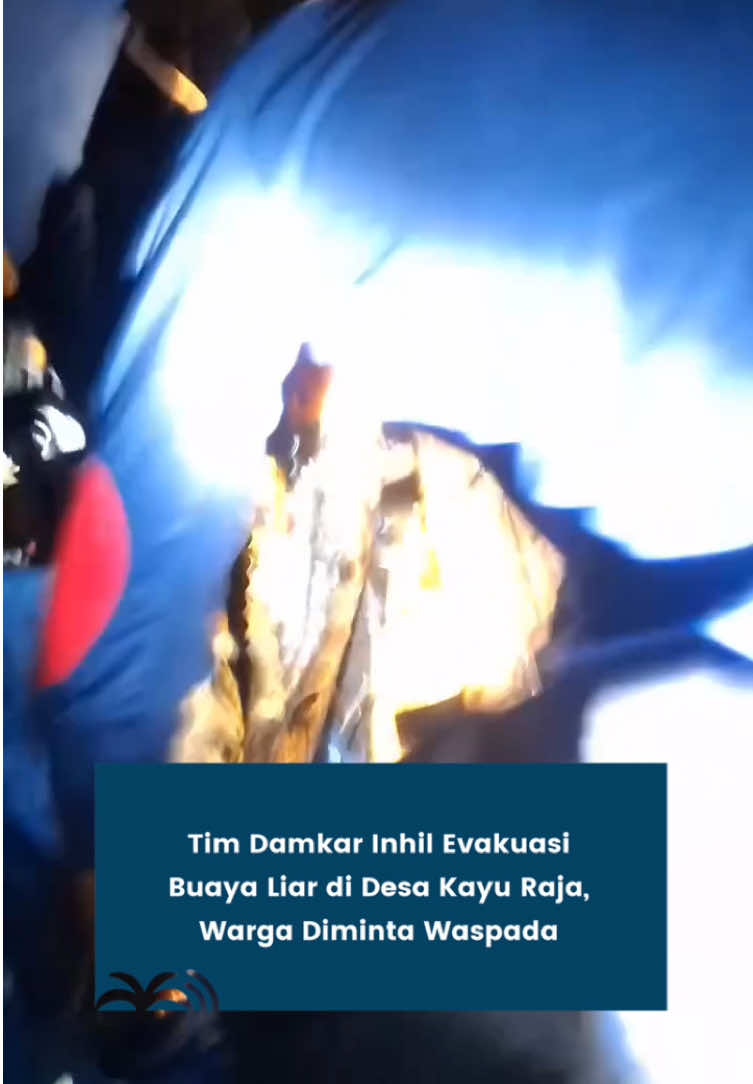 🐊 Buaya Liar Dievakuasi di Keritang! 🚨 Tim Pemadam Kebakaran Kabupaten Indragiri Hilir berhasil mengevakuasi seekor buaya liar di Desa Kayu Raja, Kecamatan Keritang, Kamis (23/10/2025) dini hari. Evakuasi dilakukan bersama warga setempat setelah hewan predator itu muncul di sekitar pemukiman. Masyarakat pun diimbau tetap waspada saat beraktivitas di sungai dan perairan. 🌊⚠️ 📍 Desa Kayu Raja, Kecamatan Keritang 📸 Sumber: Facebook Fitriadi Adi #InhilBerita #Keritang #BuayaLiar #DamkarInhil #BeritaInhil  