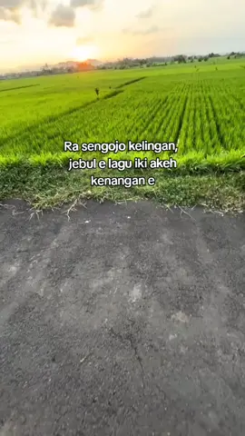 #era2023#lewatberandafyp #wonogiri24jam #fyppppppppppppppppppppp #jawapride 