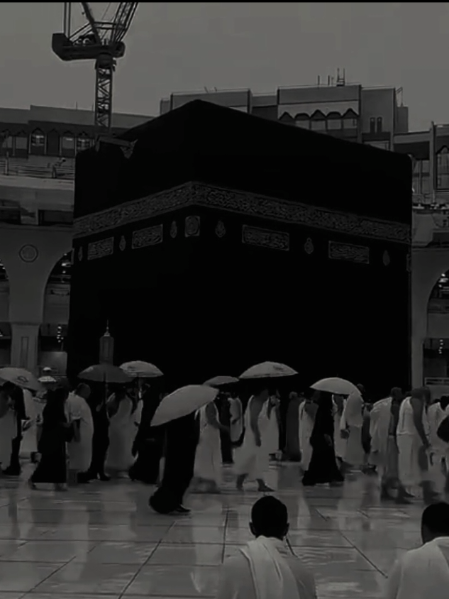 ‎  #ngajibareng #ngaji #ustadzabdulsomad #dakwah #fyp 