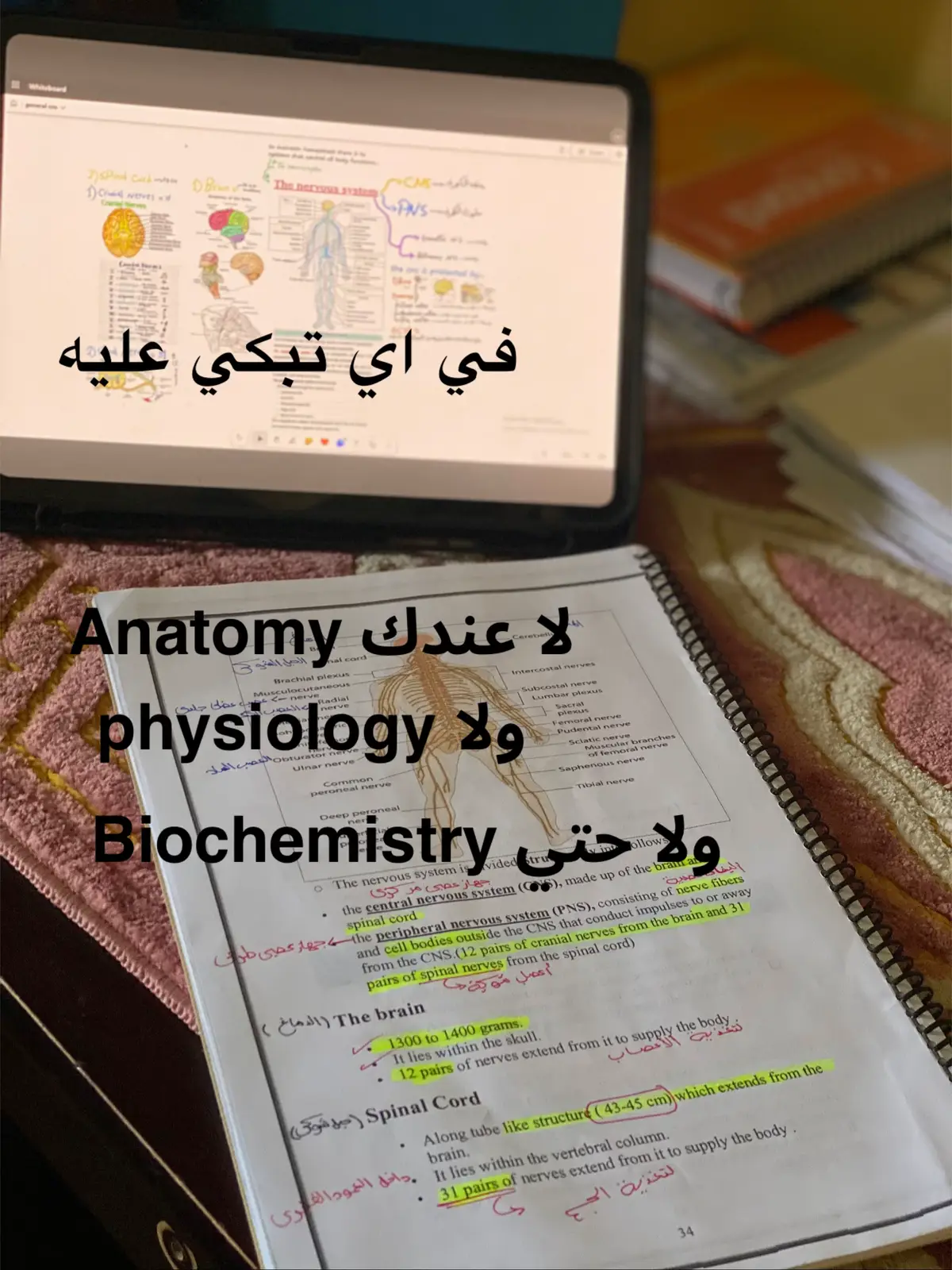 #طب #جامعه_سوهاج #طب_بشري #جامعه_سوهاج #طب_بشري 