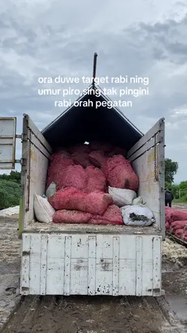 no hoax is action  #anugrahjuniorreborn#supirtruck#fyp 