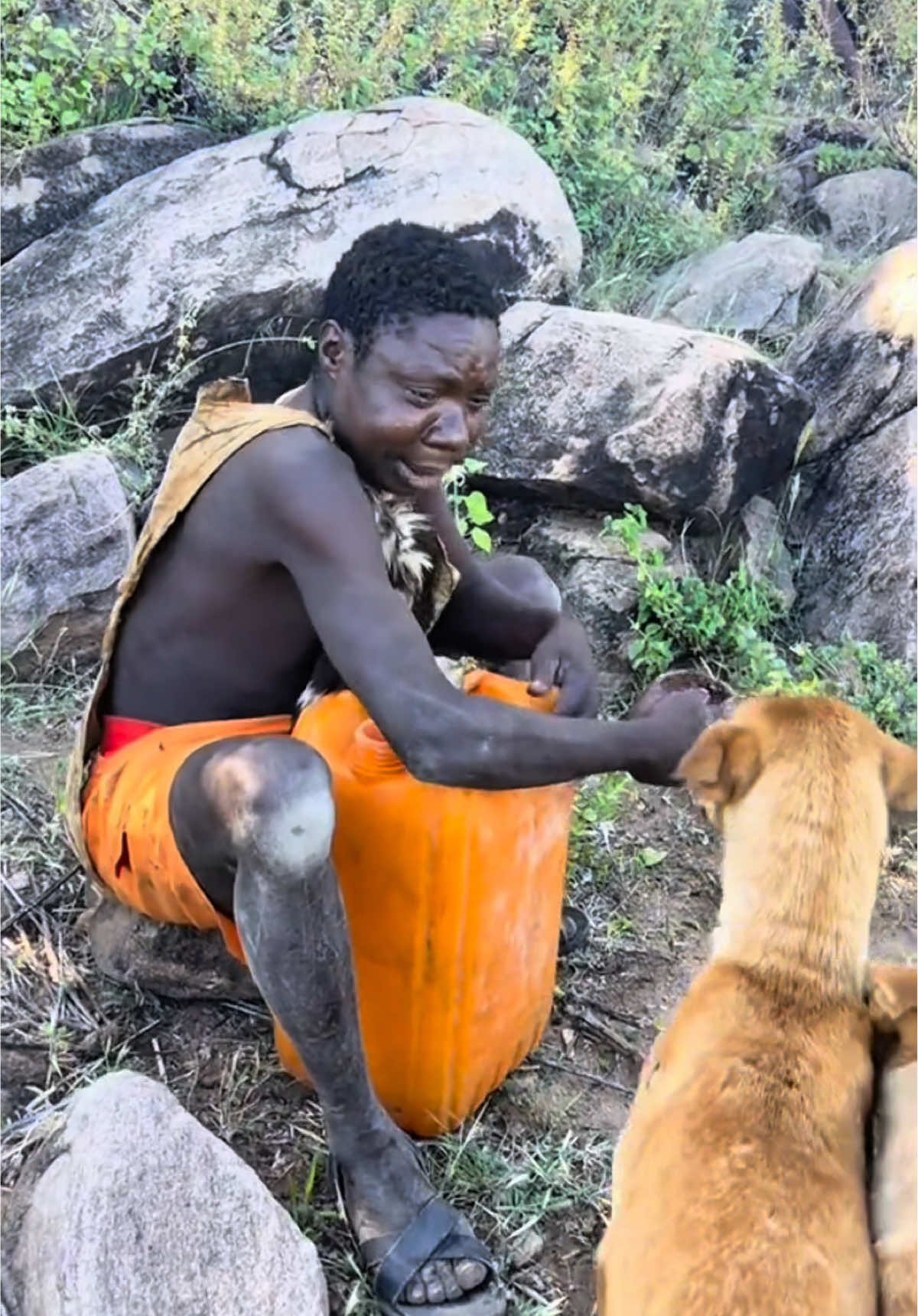 Chaaba hadn't started eating yet when the tribal dogs surrounded him#hadzabetribe #foryoupage #FoodLover #cooking #chaaba 