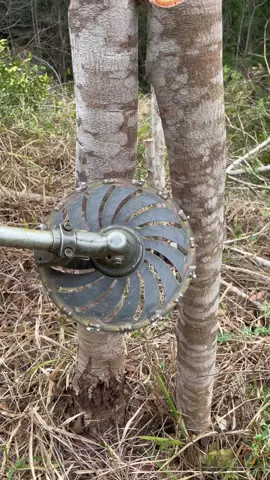 #roçadeira #vidanocampo #vidanarroça #popular #agro 