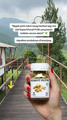 kapsul herbal kunyit putih #kapsulherbal #kunyitputih #obatherbal #sehatgamahal #sehatalami 