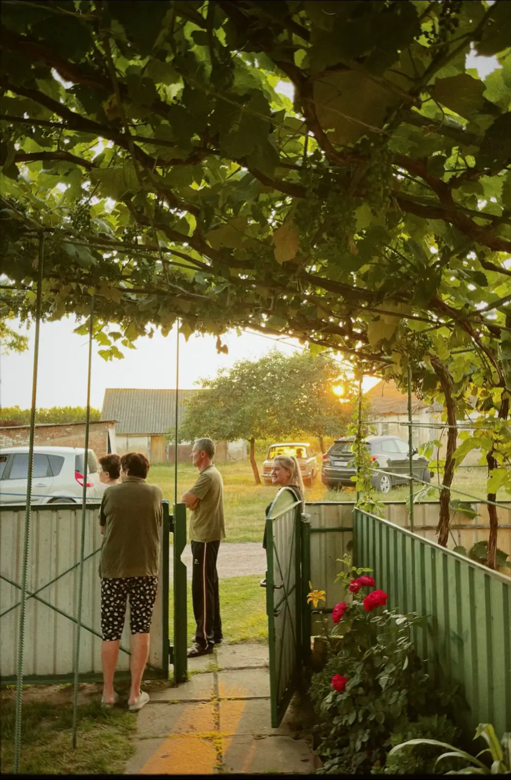 щось на дуже душевному 