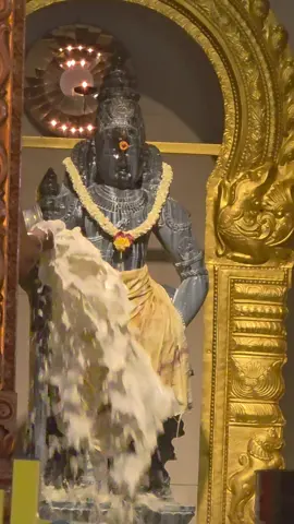 23.10.2025 #skanda shasti festival #murugan #abishegam 